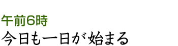 今日も一日が始まる